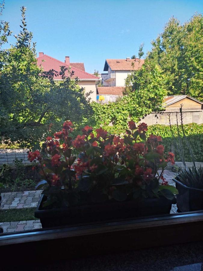 Apartman Hujic Lägenhet Bihać Exteriör bild